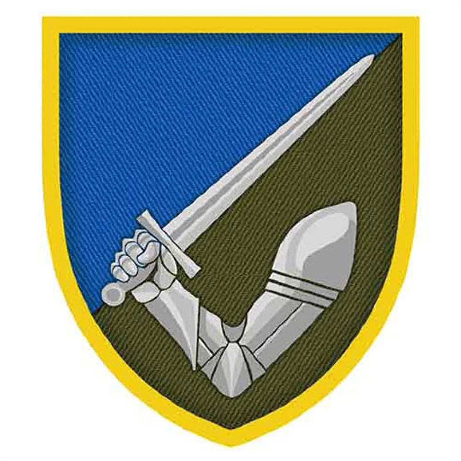 Шеврон рука с мечом 117-я ОМБр