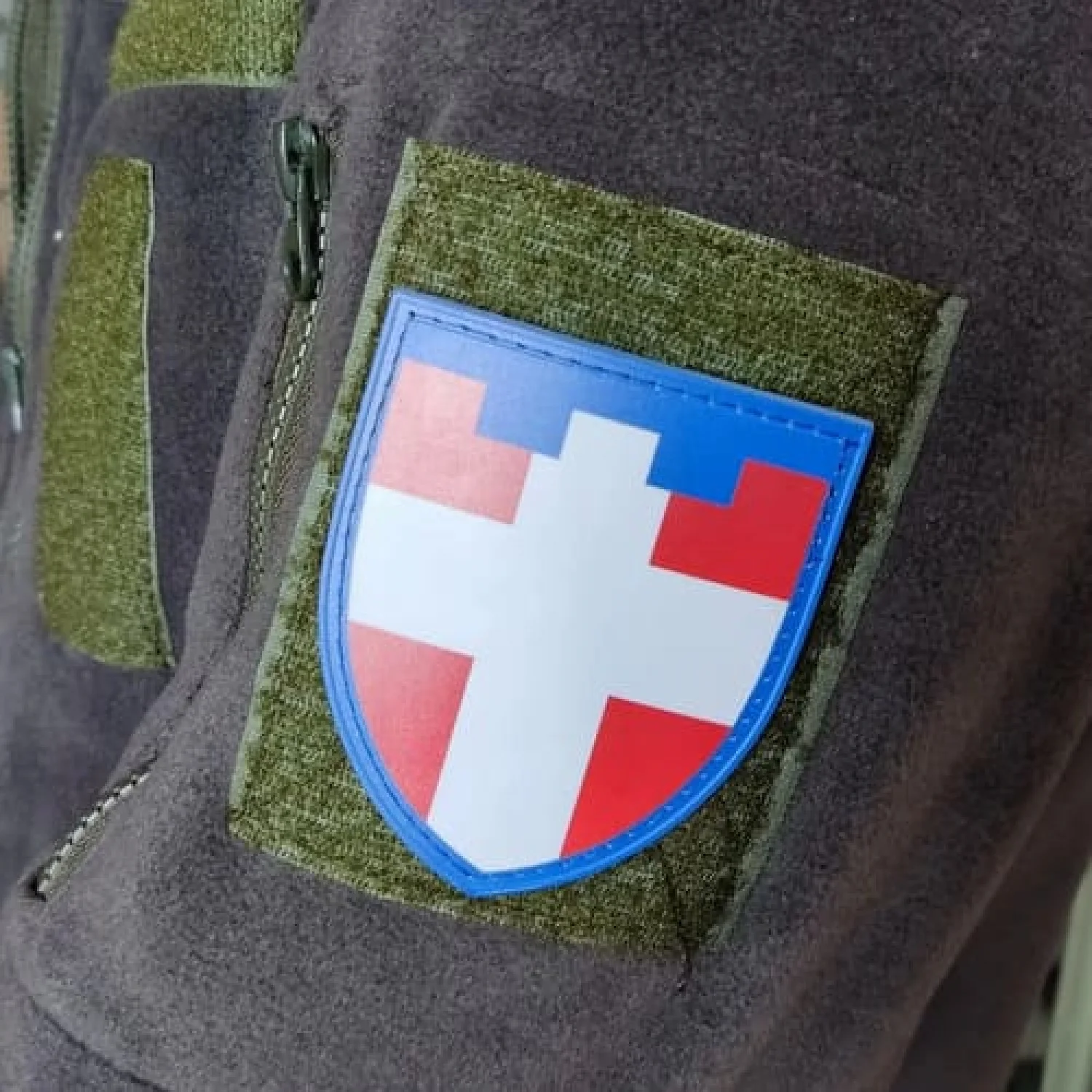 Шеврон ТрО 100 бригади ЗСУ Волинь