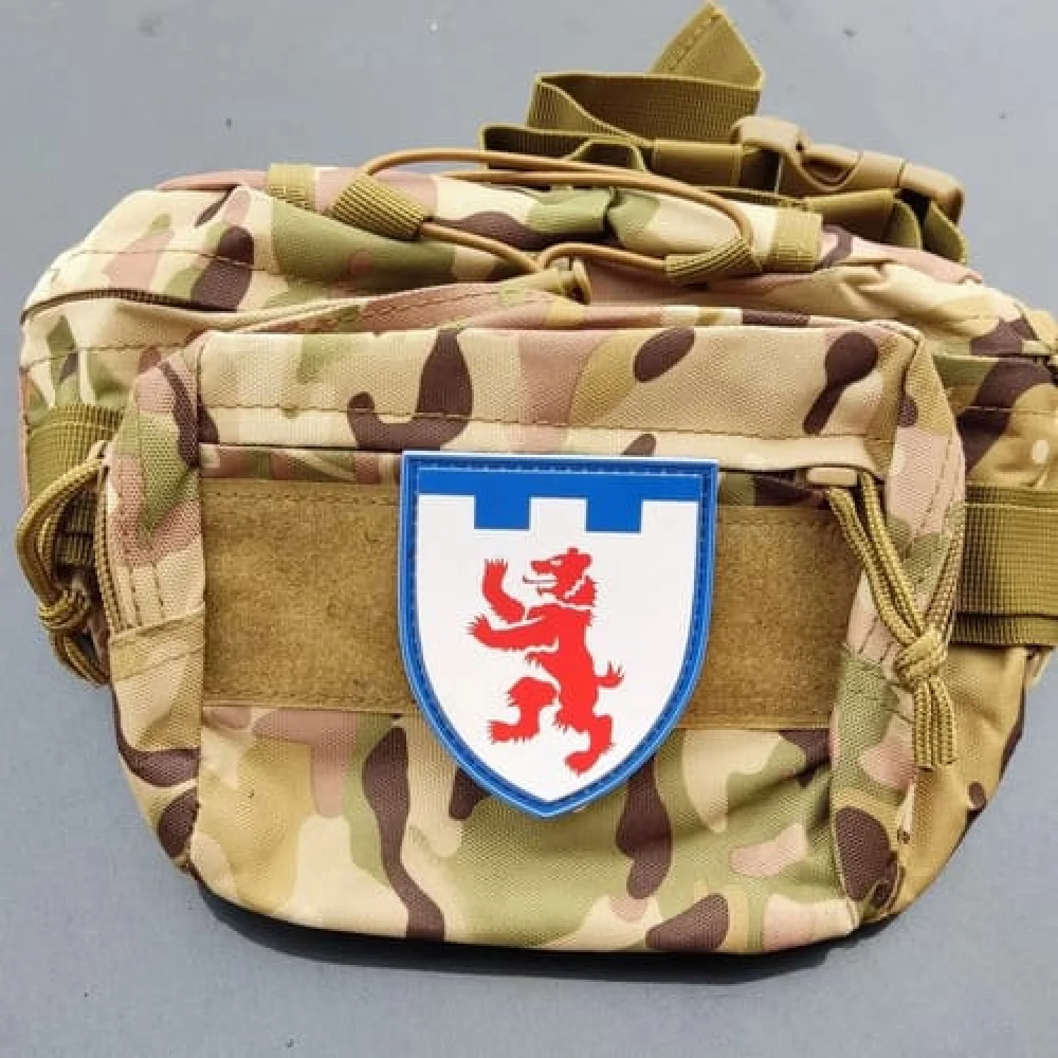 Шеврон ТрО 101 бригады ВСУ Закарпатье