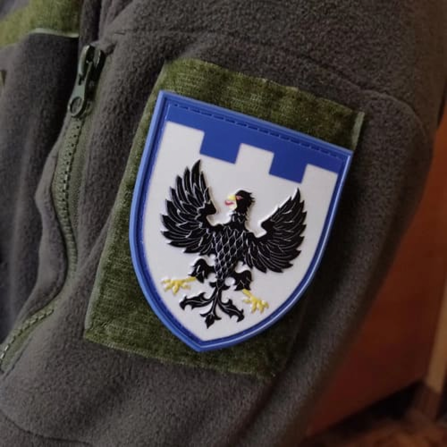 Шеврон ТрО 119 бригады ВСУ Чернигов