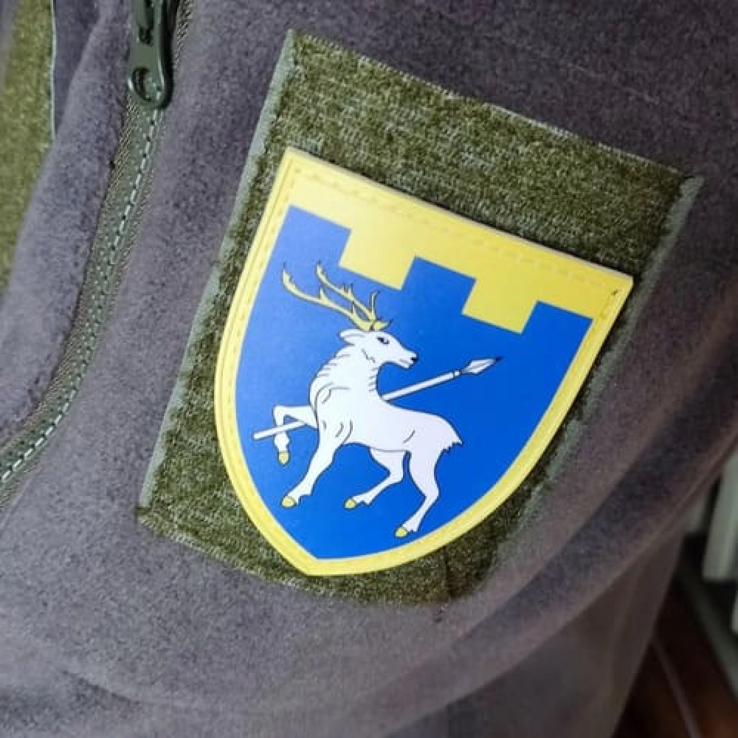 Шеврон ТрО 123 бригади ЗСУ Миколаїв