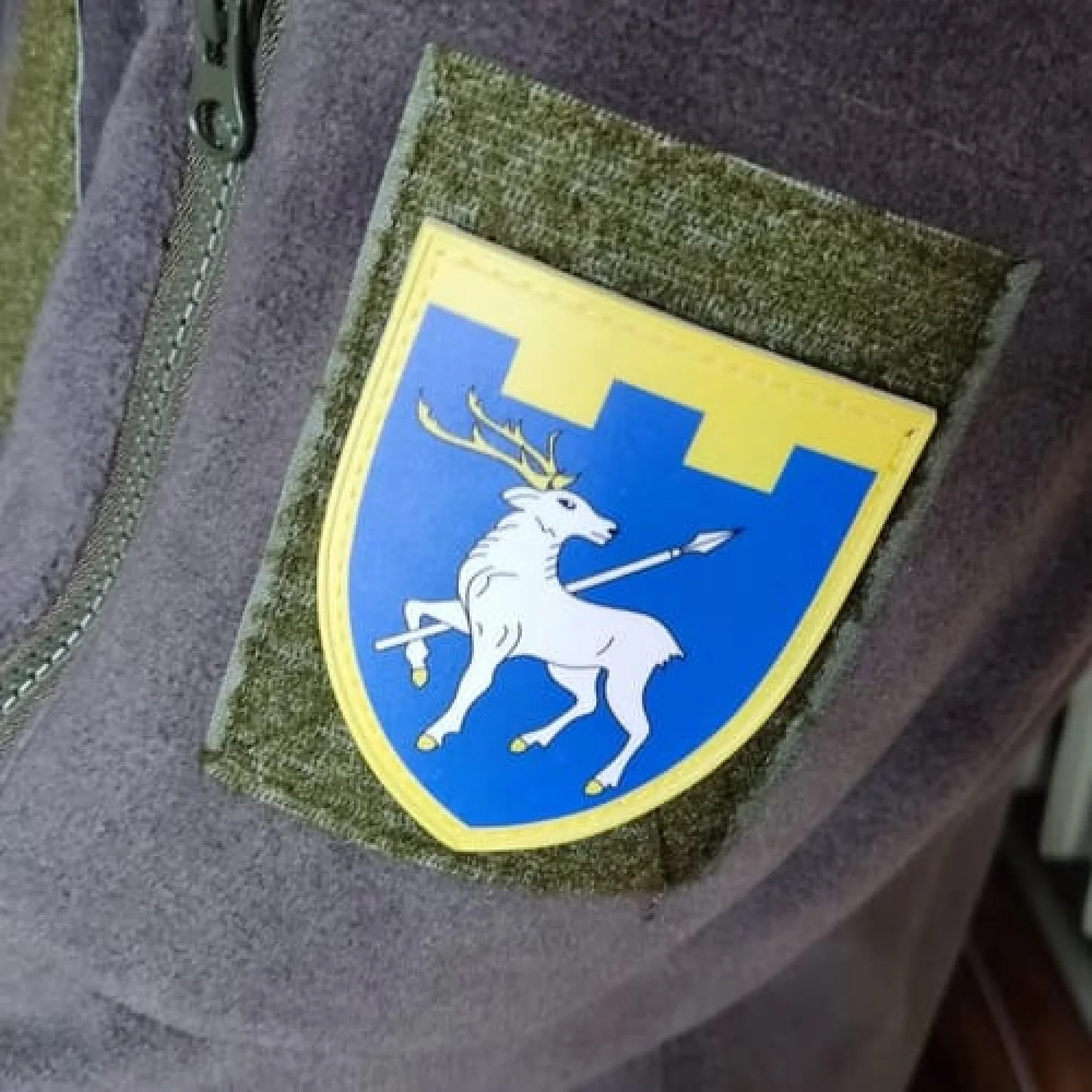 Шеврон ТрО 123 бригады ВСУ Николаев