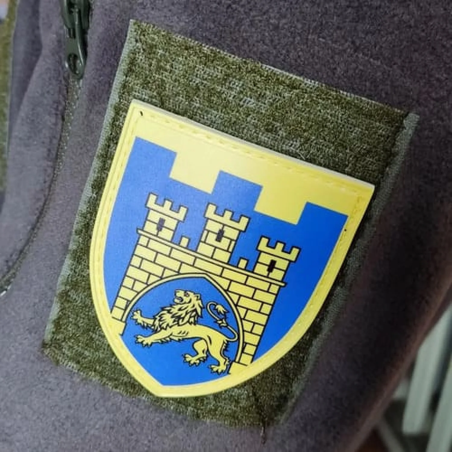 Шеврон ТрО 125 бригады ВСУ Львов