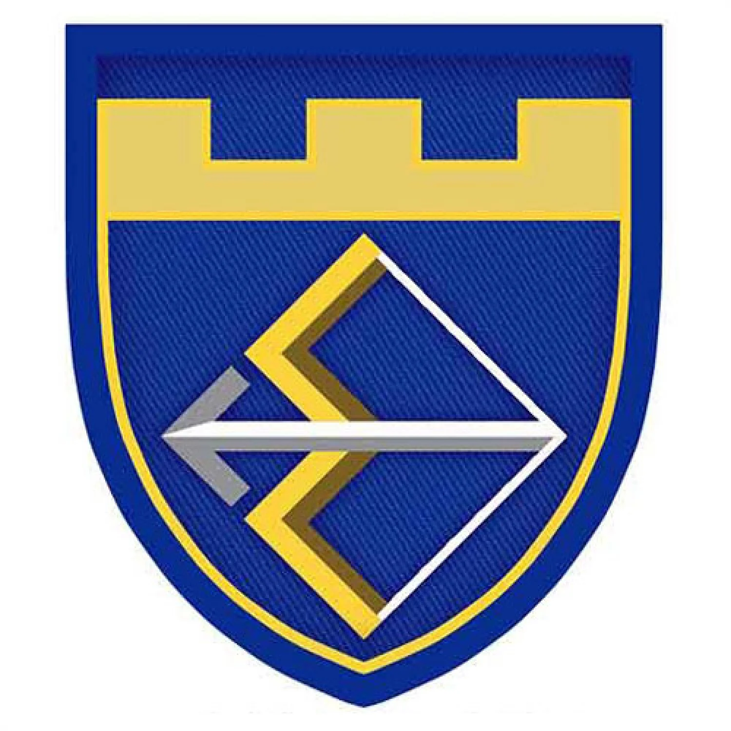 Шеврон ТрО 241 бригади ЗСУ