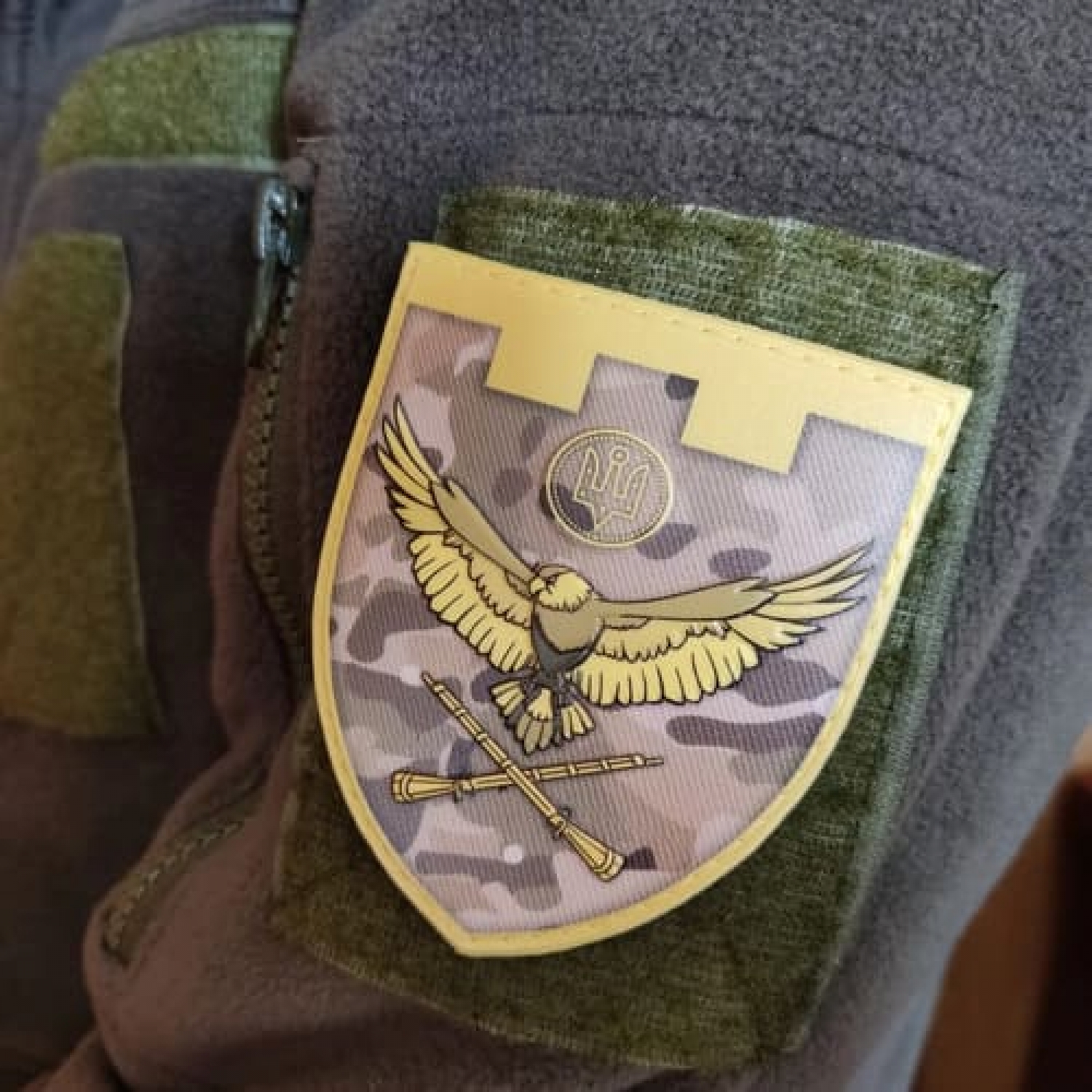 Шеврон ТРО птица ружья мультикам объемное