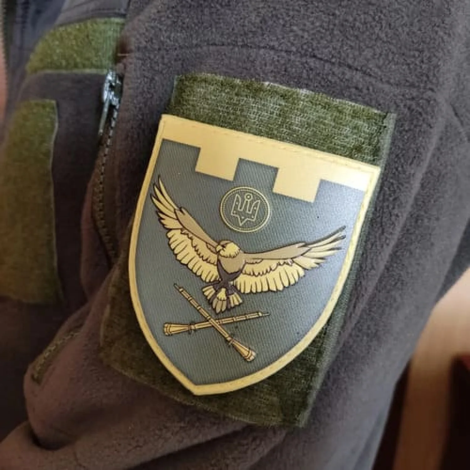 Шеврон ТРО птах рушниці олива об'ємний