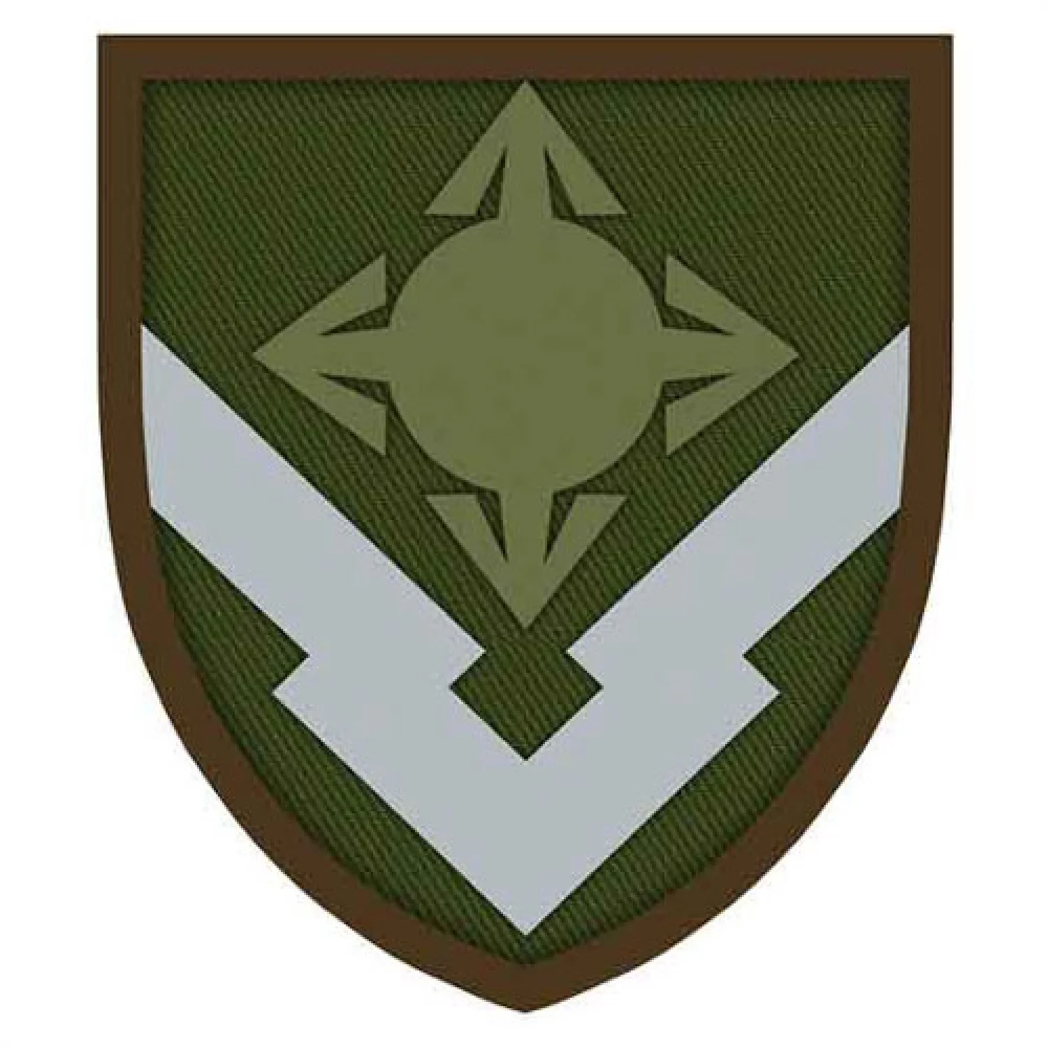 Шеврон в/ч 1796 4 стрілки об'ємний олива