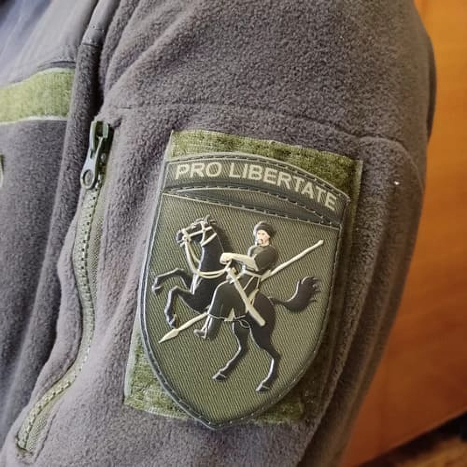 Шеврон ВСУ 110 ОМБр Pro Libertate олива