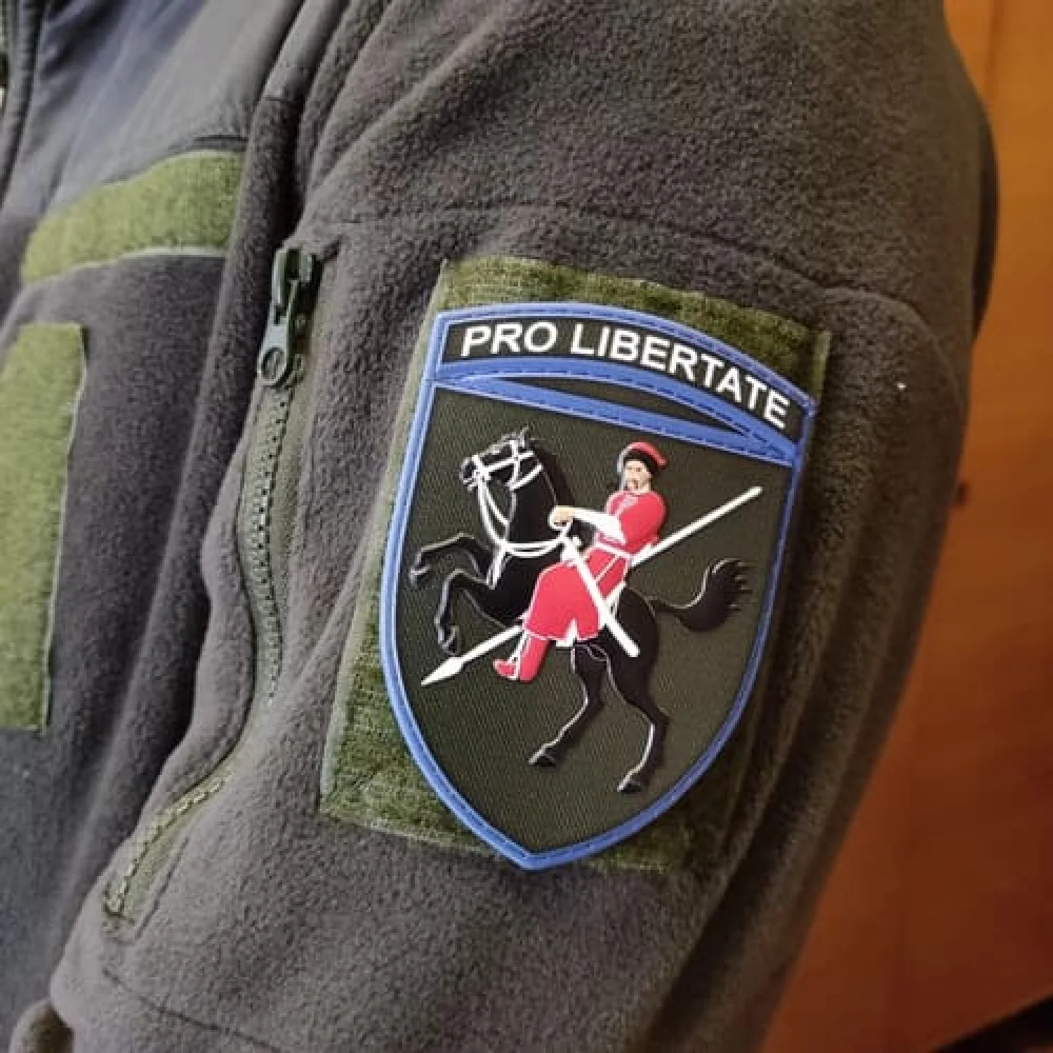 Шеврон ВСУ 110 ОМБр Pro Libertate