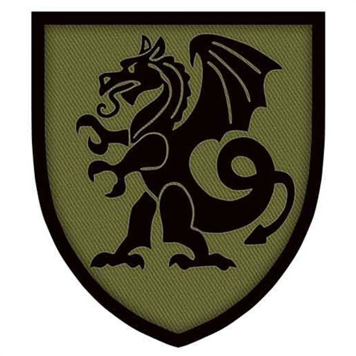 Шеврон ЗСУ 21-ша окрема механізована бригада олива