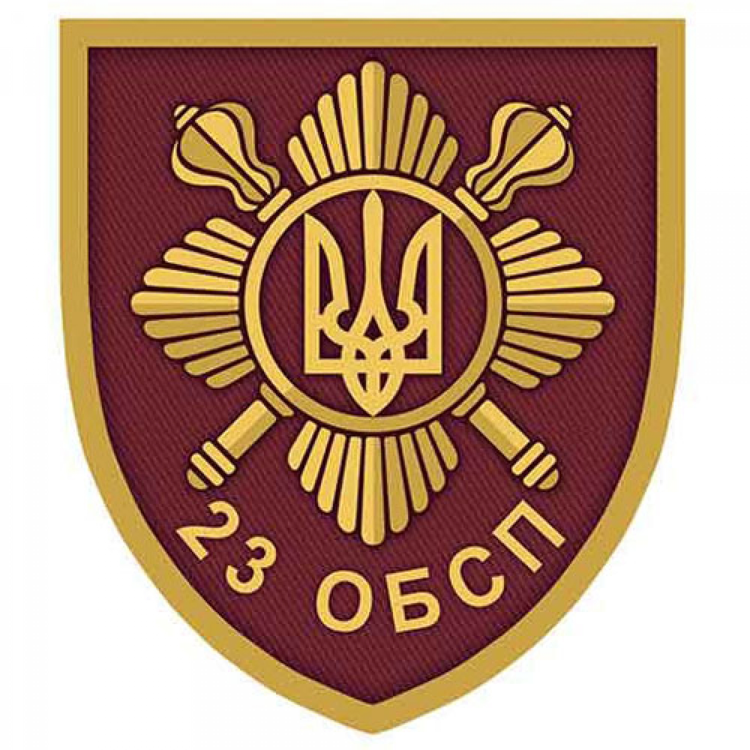 Шеврон ВСУ 23 Отдельный батальон специального назначения