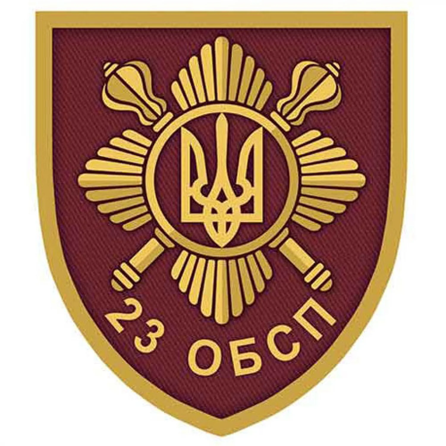 Шеврон ЗСУ 23 Окремий батальйон спеціального призначення