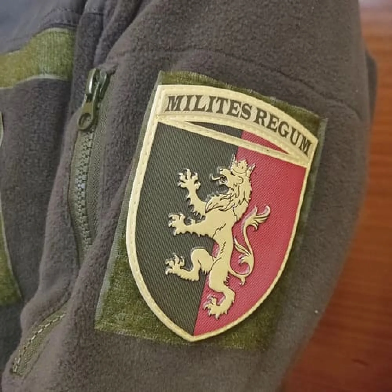 Шеврон ВСУ 24 отдельная механизированная бригада имени короля Даниила объемная