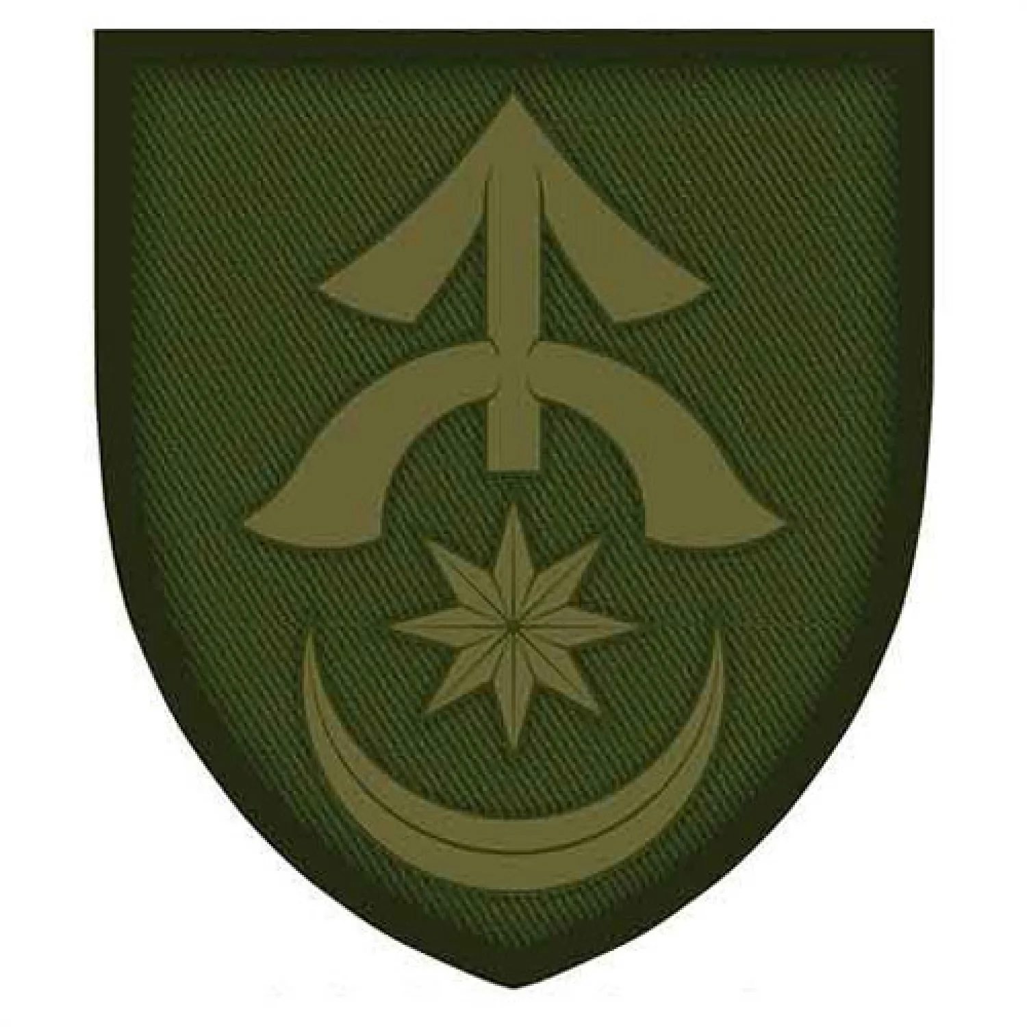 Шеврон ЗСУ 31 окрема механізована бригада об'ємний олива