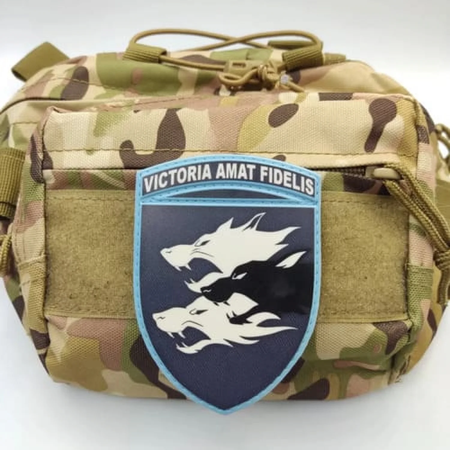 Шеврон ВСУ 38 ОБРМП Victoria Amat Fidelis