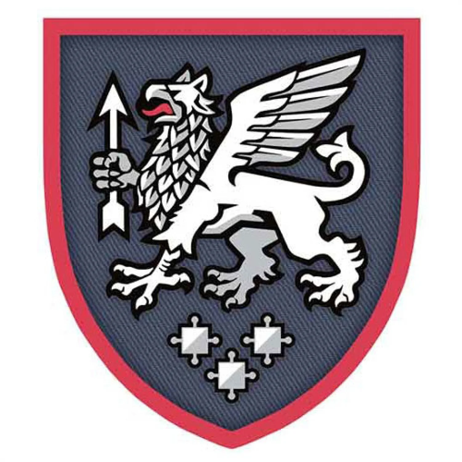 Шеврон ЗСУ 540 зенітний ракетний полк