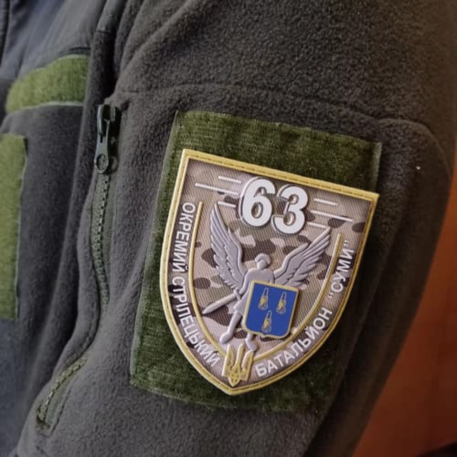 Шеврон ВСУ 63 отдельный стрелковый батальон Сумы мультикам