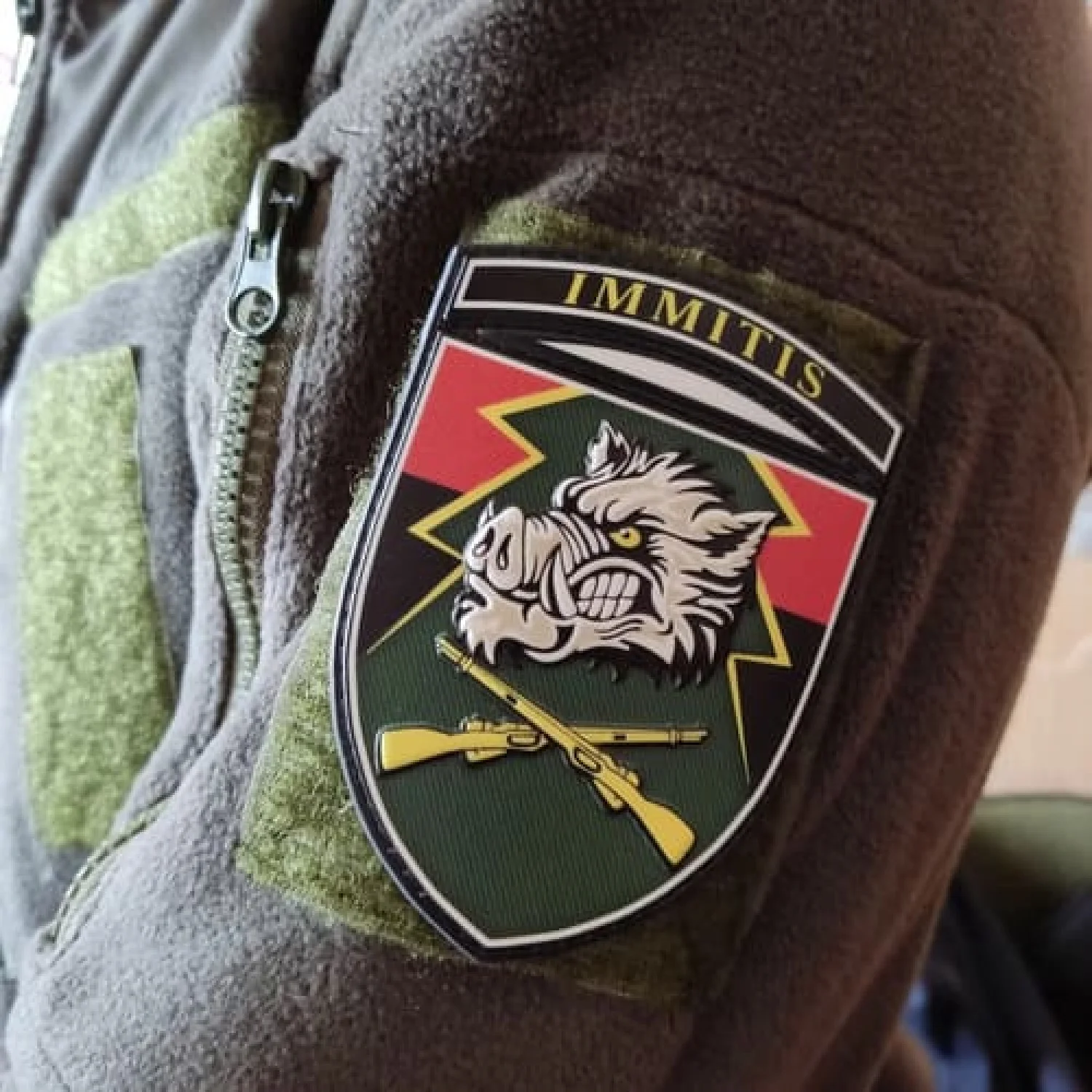 Шеврон ЗСУ 71 окрема егерська бригада Immitis