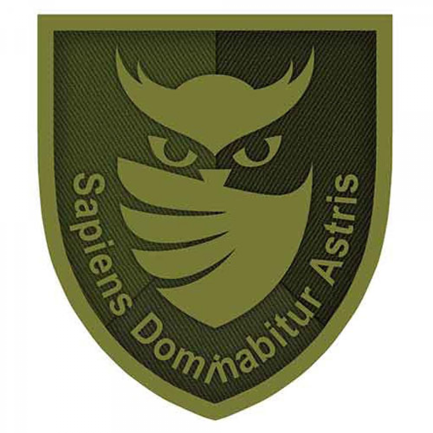 Шеврон ЗСУ із совою "Sapiens Dominabitur Astris" Розвідка олива