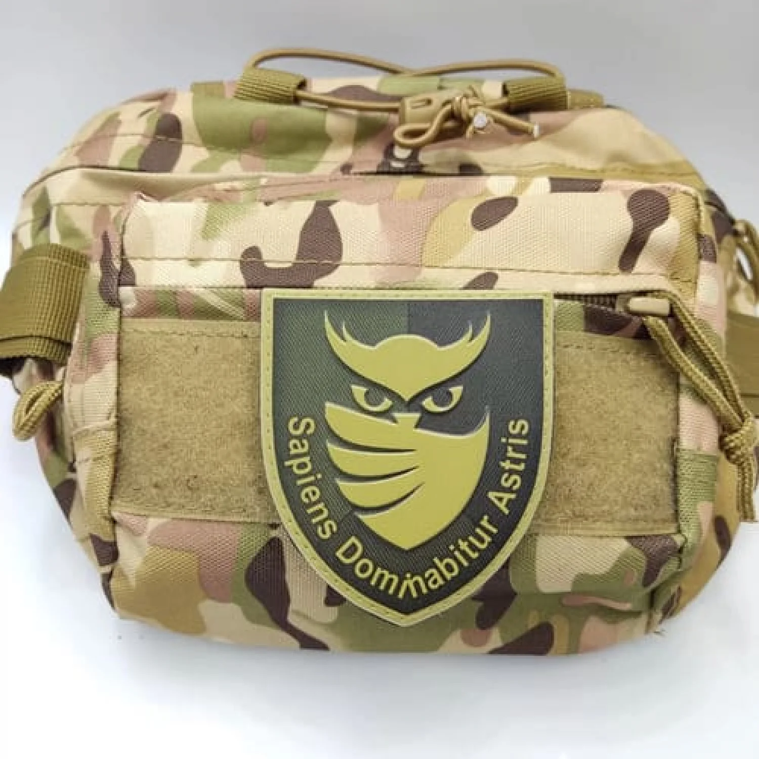 Шеврон ВСУ с совой "Sapiens Dominabitur Astris" Разведка олива