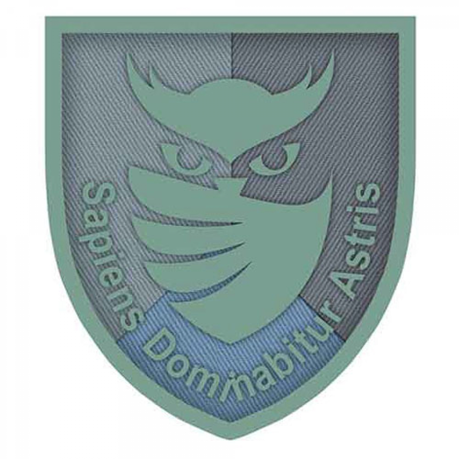 Шеврон ЗСУ із совою "Sapiens Dominabitur Astris" Розвідка
