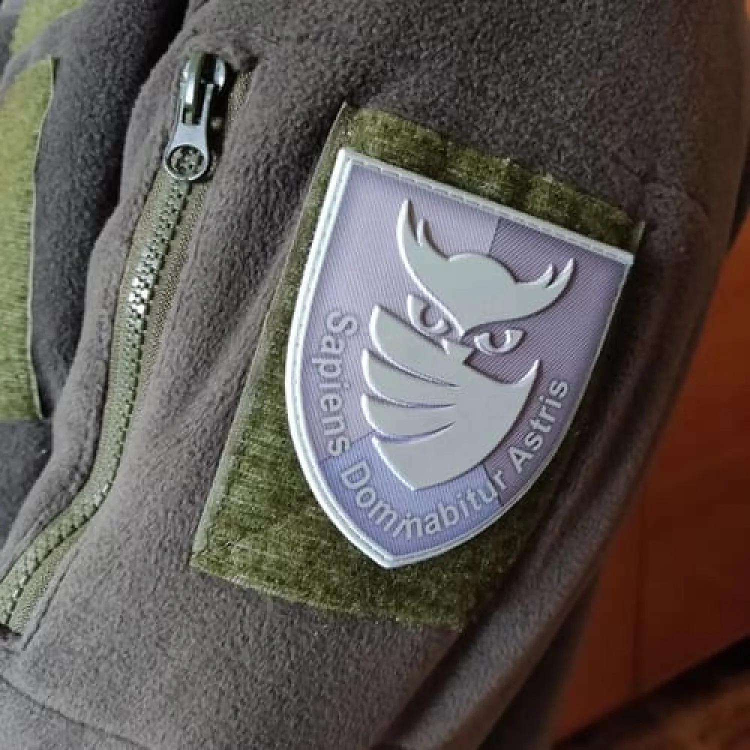 Шеврон ЗСУ із совою "Sapiens Dominabitur Astris" Розвідка