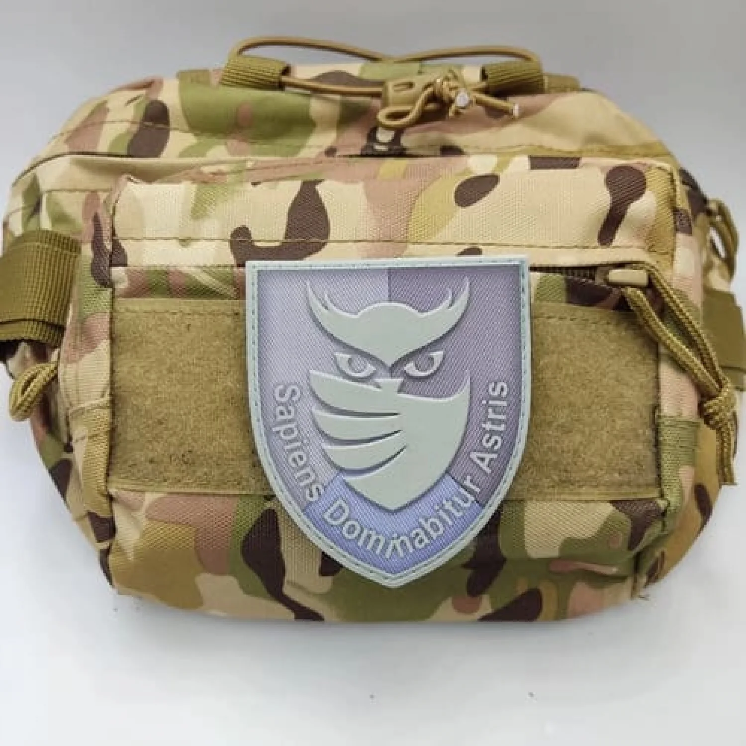 Шеврон ЗСУ із совою "Sapiens Dominabitur Astris" Розвідка