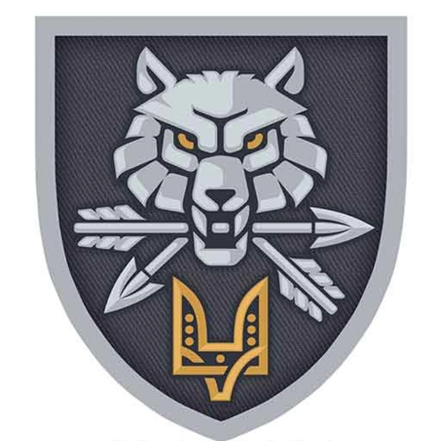 Шеврон ЗСУ Командування ССО