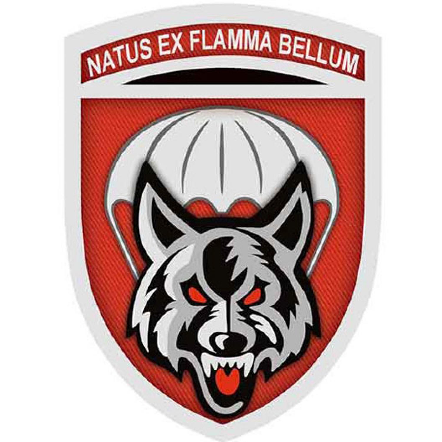 Шеврон ВСУ Natus ex flamma bellum