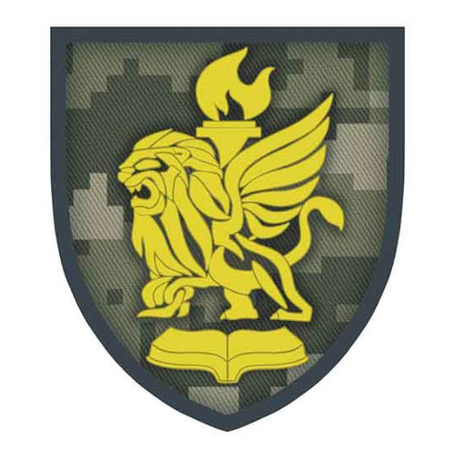 Шеврон ЗСУ Навчальний центр Новомосковський полігон піксель