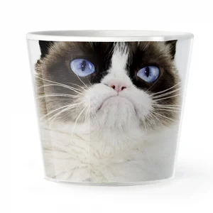 MyFacepot Animal_Groomy cat