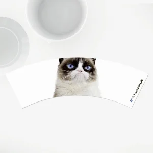 MyFacepot Animal_Groomy cat