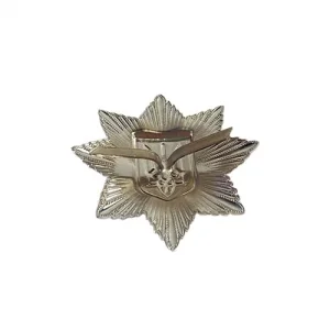 Кокарда Національна Поліція