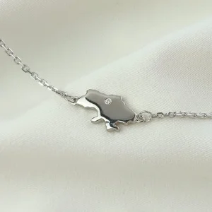 Серебряный браслет карта Украины (камень)