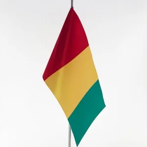 Флажок Гвинеи (без держателя)