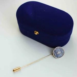 Значок Лого НААУ (15 мм, на иголке)