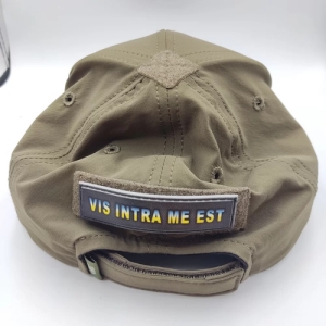 Шеврон Vis Intra Me Est