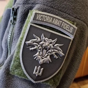 Шеврон 38 ОБрМП Victoria amat fidelis об'ємний олива