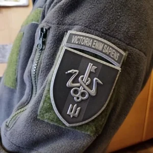 Шеврон Школа морського піхотинця Victoria Enim Sapiens об'ємний олива