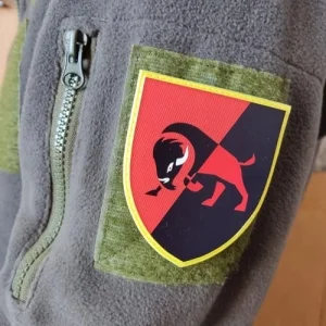 Шеврон ЗСУ 22 ОМБр