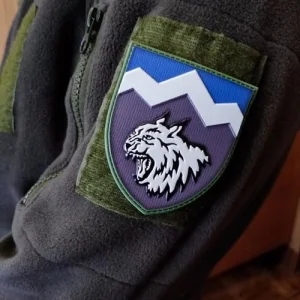 Шеврон ЗСУ 108 ОГШБ