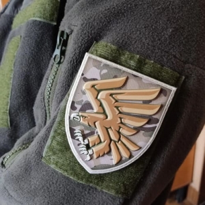 Шеврон ЗСУ 95 окремої десантно-штурмової бригади мультикам