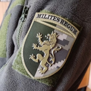 Нашивка ЗСУ 24 окрема механізована бригада піксель