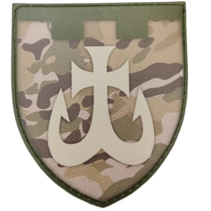 Шеврон ТрО 120 бригади ЗСУ Вінниця мультикам