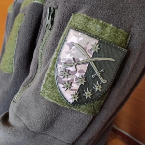 Шеврон ЗСУ 142 окрема піхотна бригада мультикам (оновлений)