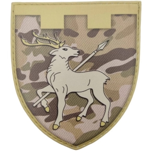 Шеврон ТрО 123 бригади ЗСУ Миколаїв мультикам