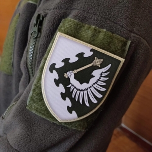 Шеврон ЗСУ Повітряне командування Захід олива