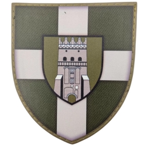 Шеврон ЗСУ 100 ОМБр олива