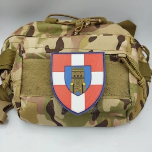 Шеврон ВСУ 100 ОМБр