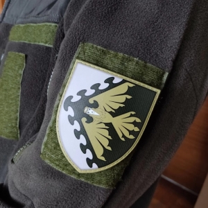 Шеврон ЗСУ 193 Центр Управління та Оповіщення олива